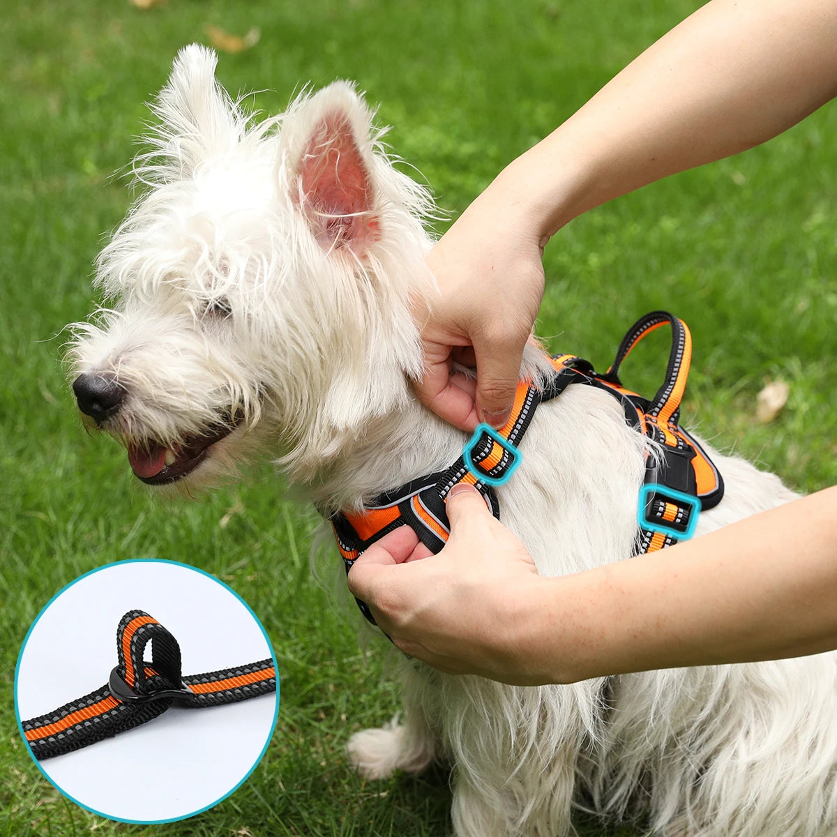 Adjustable Dog Harness Vest Pet Reflective Breathable Vest Chest Strap for Small Medium and Large Dogs for Outdoor Walking