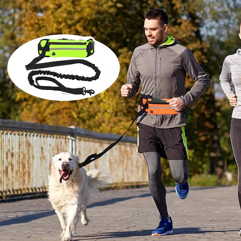 Hands-Free Dog Leash for Running Walking Reflective Leash with Waist Bag Retractable Elastic Belt Dog Traction Rope