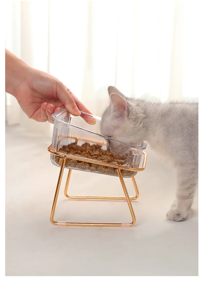 Pet Double Bowl Transparent High Foot Cat Bowl Drink water Cat Food With Golden Stand Raised Water Feeder Dog Bowl Supplies