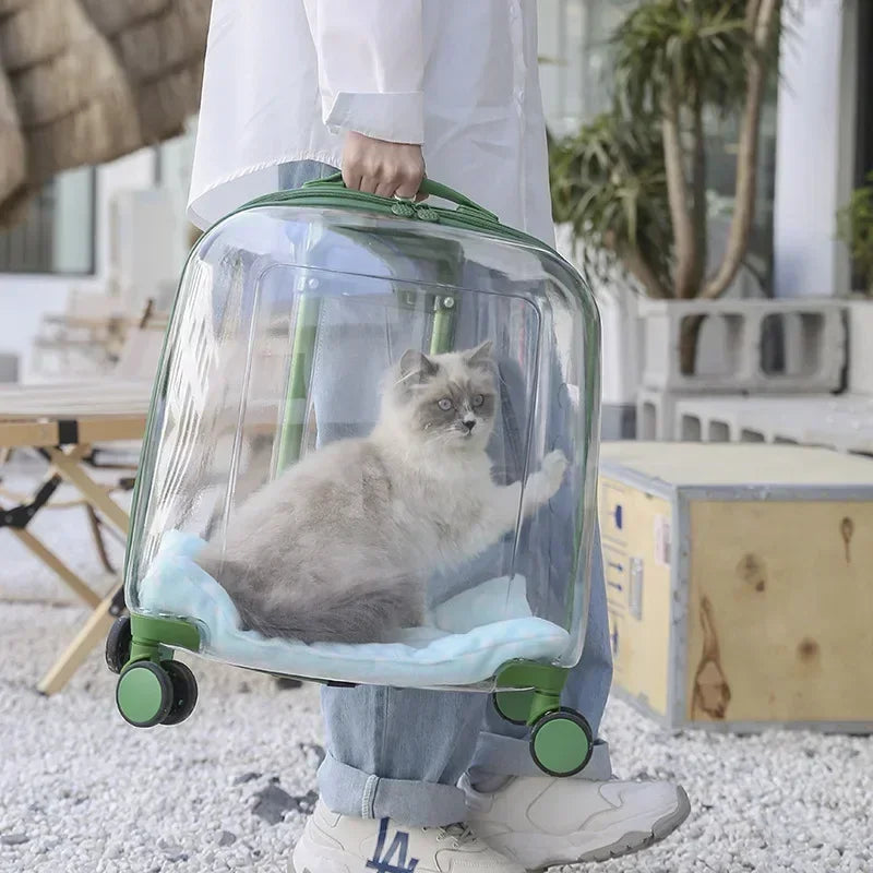 Cats Carrier Pet Backpacks Material Travel Stroller Bags Pet Shop Transparent Transportation Products on Wheels Accessories