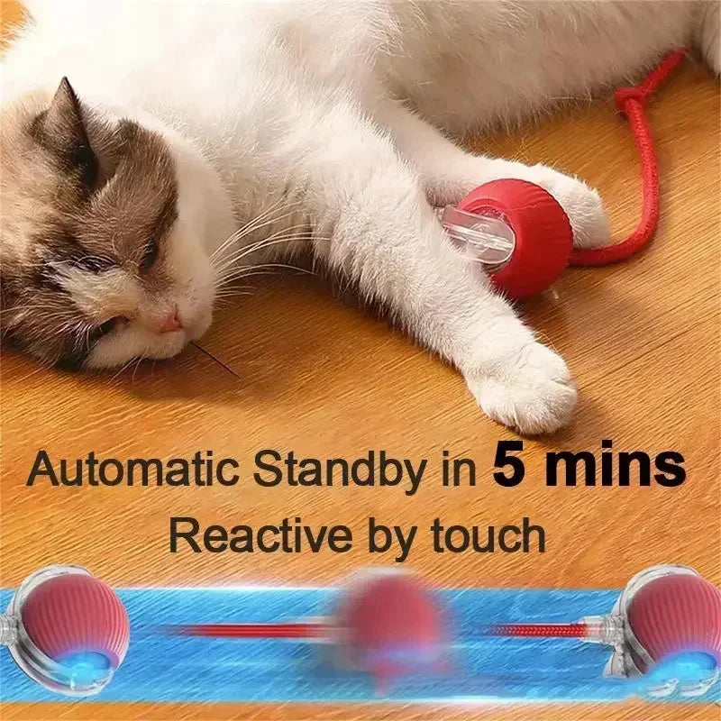 Interactive Dog Toys Rechargeable Pet Interactive Toys Electric Cats Ball  Automatic Rolling Fake Tail Ball Dog  Cats Toy