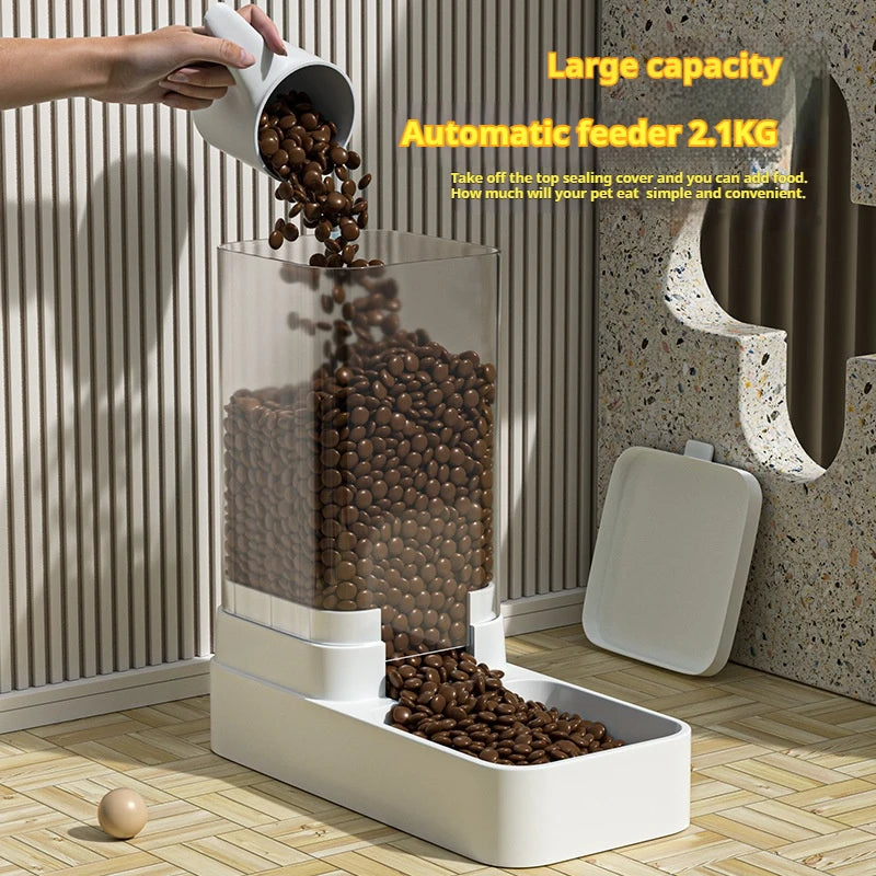 Dog and cat automatic feeder, food storage and distribution container, kitten and puppy accessories