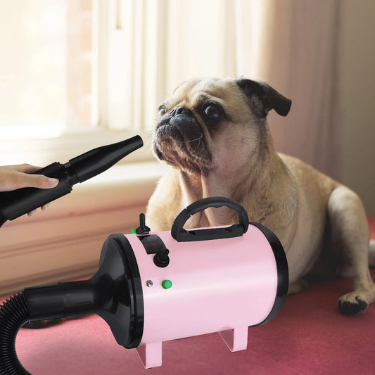 Dog Hair Dryer Professional 2800W Low Noise with 3 Nozzles & Extendable Hose Animal Fur Heater Hairdryer Grooming