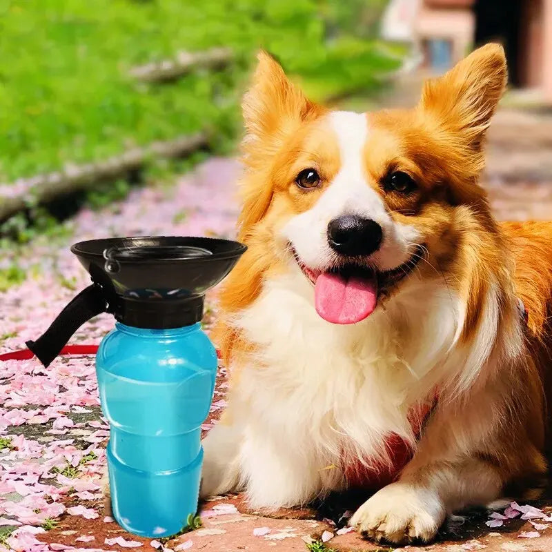 Dog Water Bottle Out Walking Dog Portable Water Bottle Dog Drinking Cup