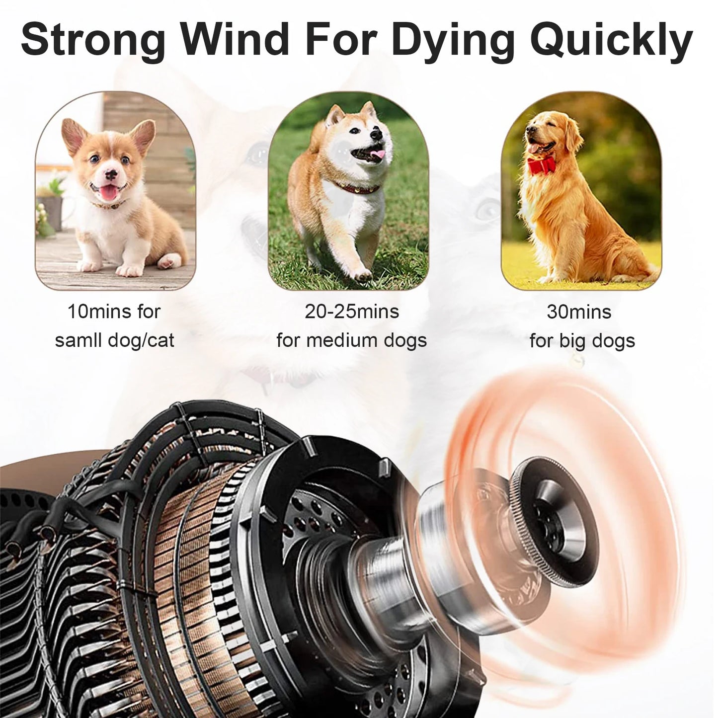 Dog Hair Dryer Professional 2800W Low Noise with 3 Nozzles & Extendable Hose Animal Fur Heater Hairdryer Grooming