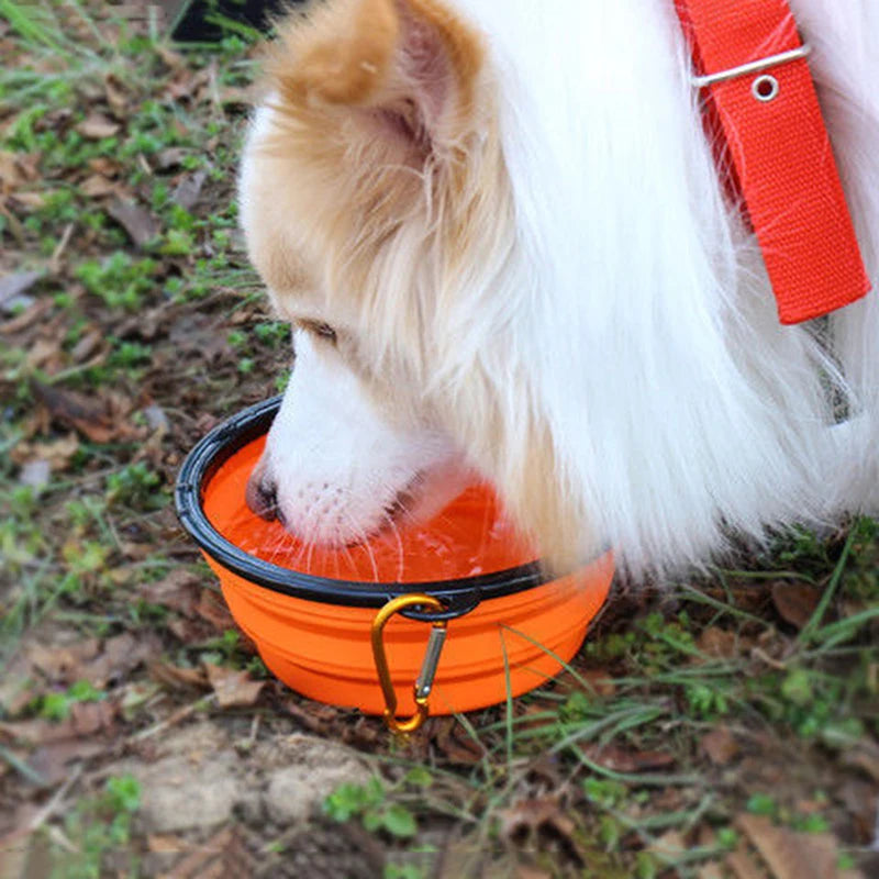 Collapsible 1000 Ml Collapsible Silicone Bowl Pet Outdoor Travel Portable Puppy Kitten Food Container Feeder