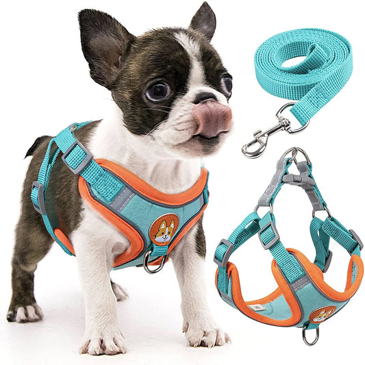 Step-in Dog Harness Small Dog Harness and Leash Set Adjustable Reflective Pet Dog Vest Soft Harness