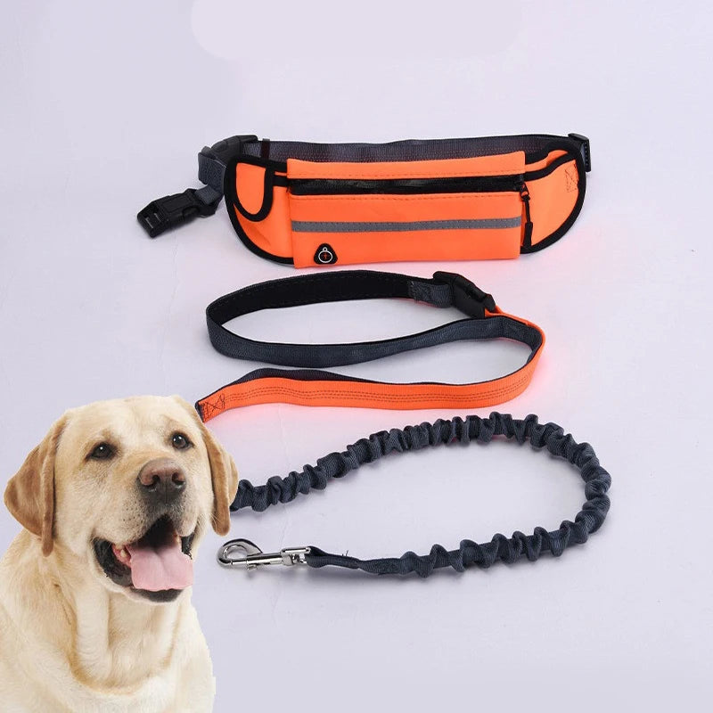 Hands-Free Dog Leash for Running Walking Reflective Leash with Waist Bag Retractable Elastic Belt Dog Traction Rope