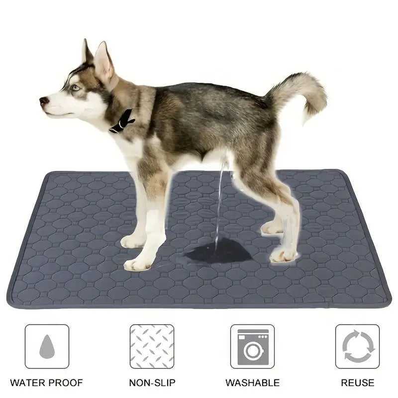 Dog Pee Pad Reusable Washable Dog Mat Car Seat Floor Sofa 
Waterproof Absorbent Puppy Cat Training Diaper Mat Pet Supplies