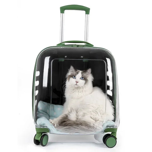 Cats Carrier Pet Backpacks Material Travel Stroller Bags Pet Shop Transparent Transportation Products on Wheels Accessories