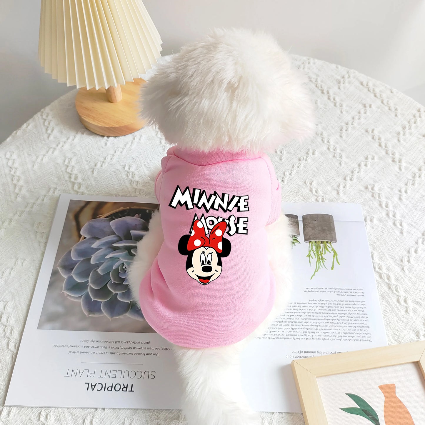 1pc pet Hoodless hoodie Polyester sweatshirt Mickey Minnie printed suitable for small and medium dog breeds