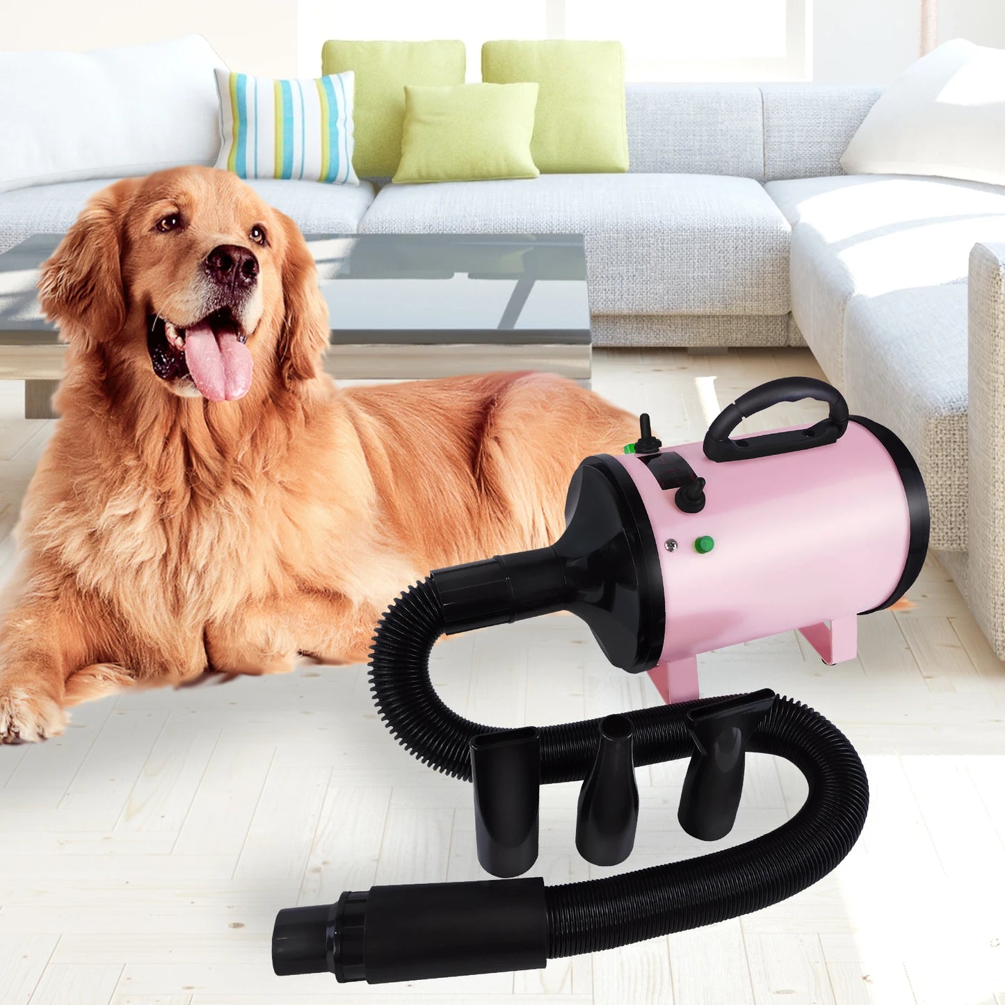 Dog Hair Dryer Professional 2800W Low Noise with 3 Nozzles & Extendable Hose Animal Fur Heater Hairdryer Grooming