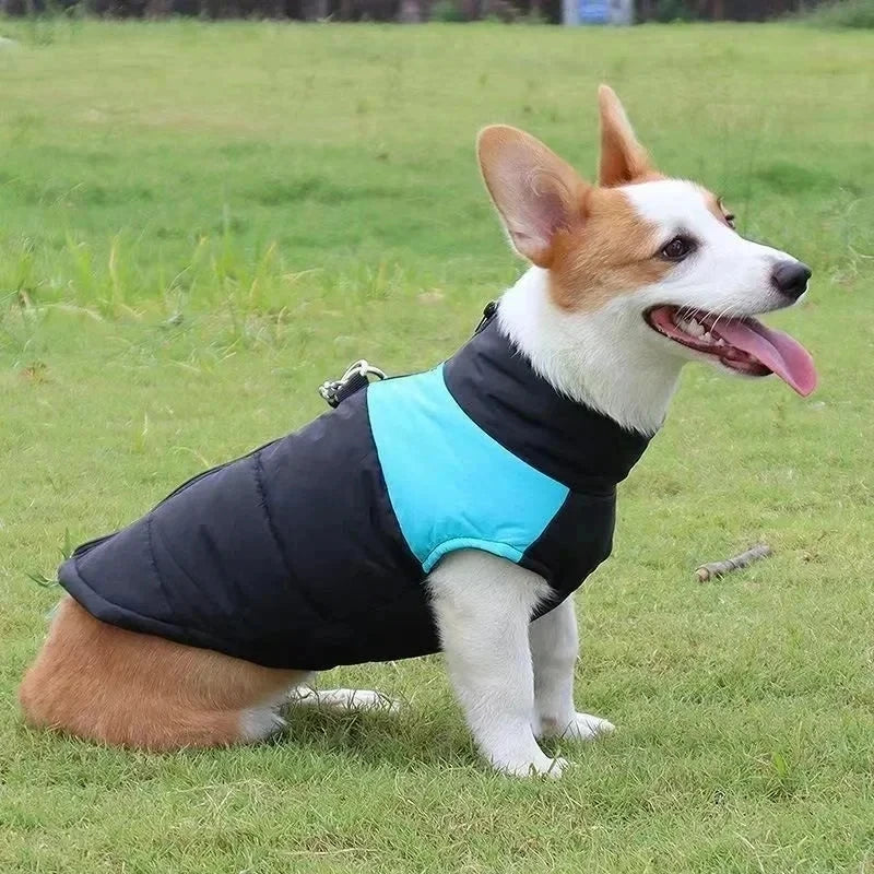 Warm Pet Dog Coats Waterproof Pet Jacket with Zipper Thick Padded Warm Pet Coats Padded Dog Clothes for Small Medium Large Dogs