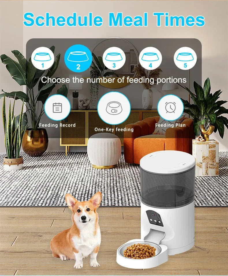 Wifi mobile phone app remote control smart dog cat pet bowl feeder pet feeder app timing quantitative automatic pet feeder dog