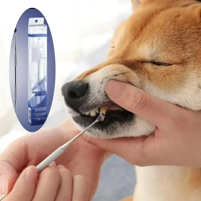 Pet Dog Tooth Cleaner Tartar Removers Scraper Dental Pen Stainless Steel