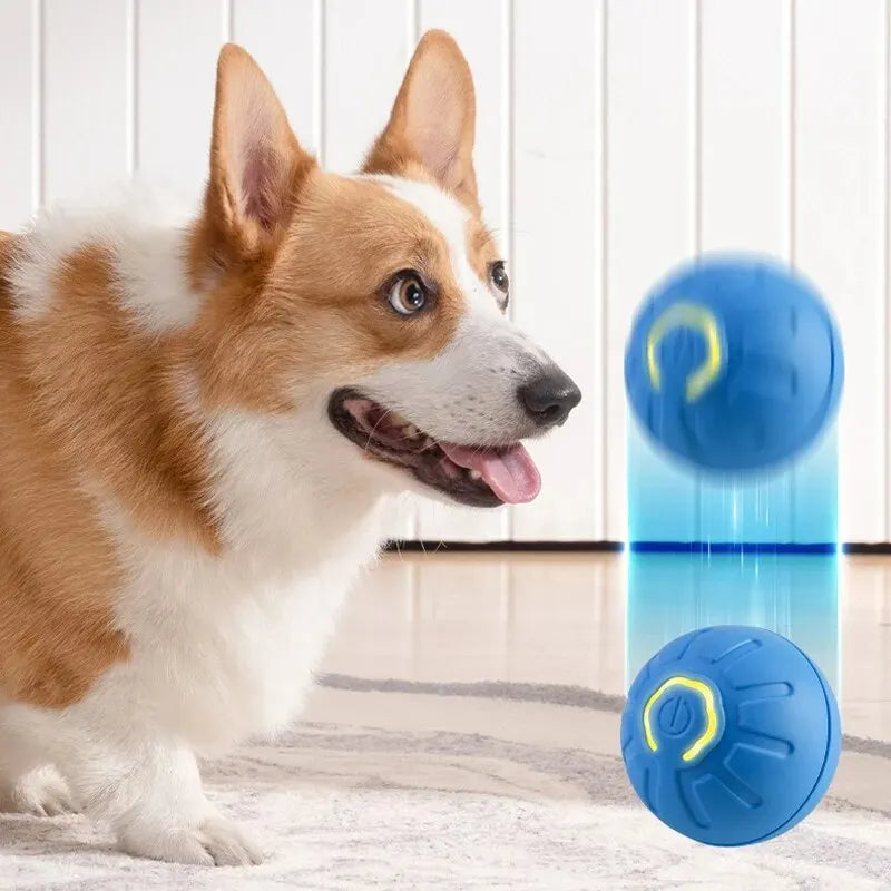 Automatic Moving Dog Toy Ball Smart USB Jumping Rotating Interactive Dog Chew Toy Ball for Puppy Ball Toys