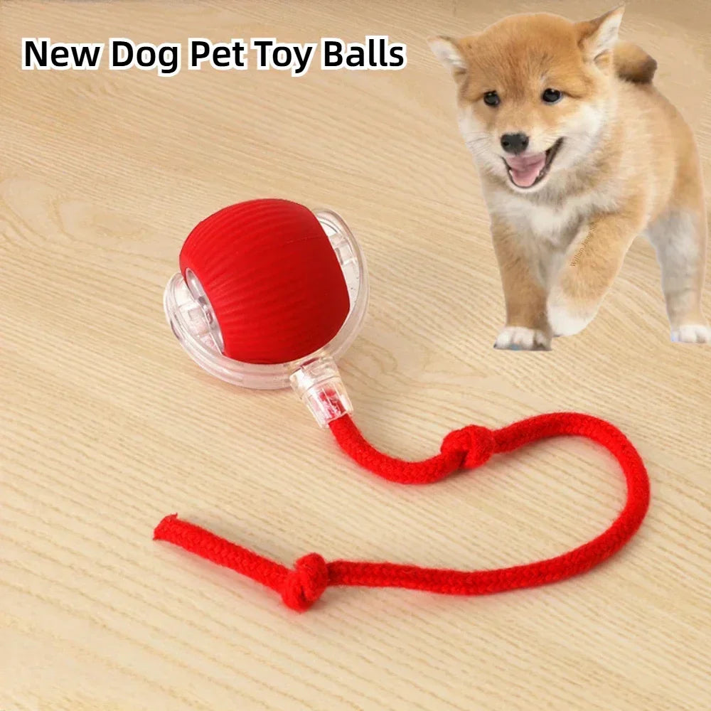 Interactive Dog Toys Rechargeable Pet Interactive Toys Electric Cats Ball  Automatic Rolling Fake Tail Ball Dog  Cats Toy