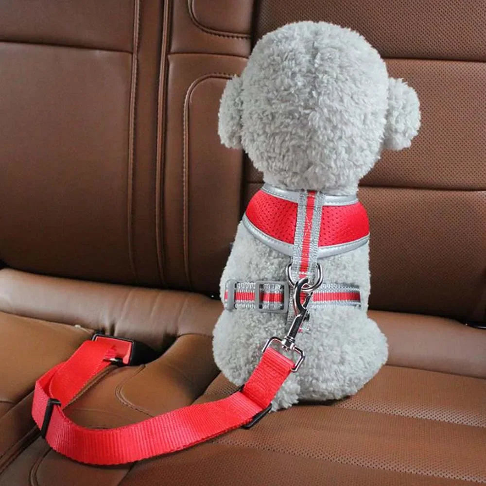 1PC Pet Car Safety Buckle Car Pet Safety Belt,
 Suitable for Small and Medium-sized Dogs, 
Pet Out Safety Supplies