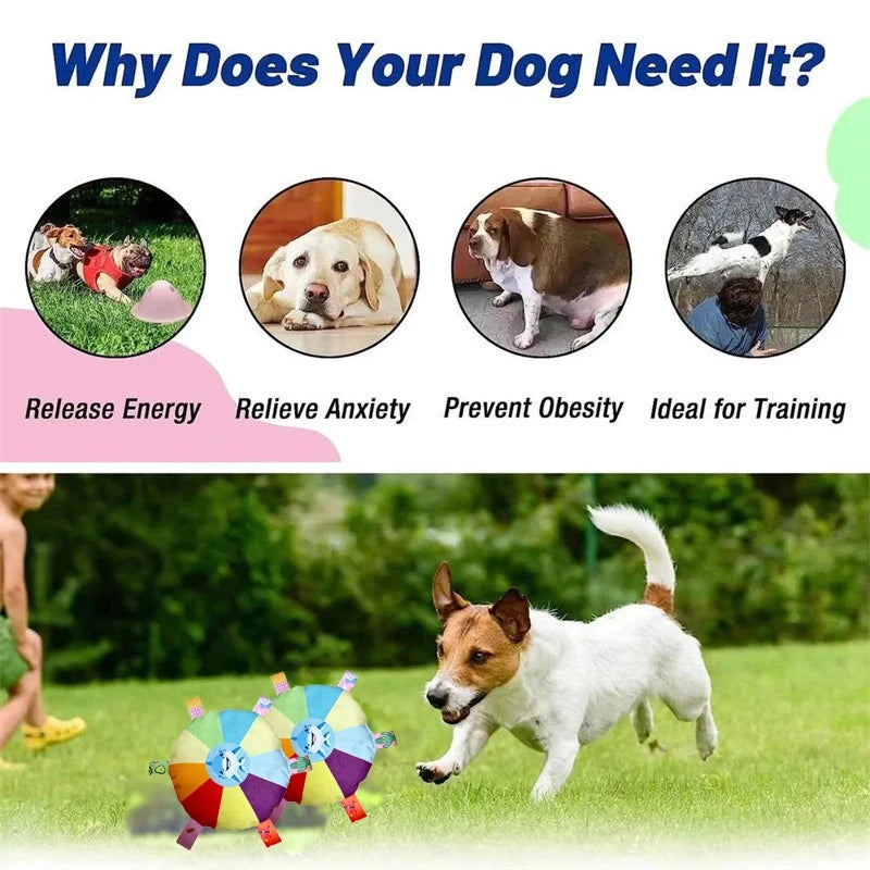 Funny Rainbow Plush Flying Saucer Dog Toys Outdoor Interactive Training Games Chew Toy Pets Flying Discs Toys with Bells